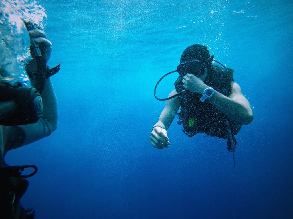 Les Meilleurs Spots de Snorkeling des Galápagos : Un Monde Sous-Marin Féerique